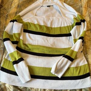 Ashley Stewart White and Green Striped Sweater